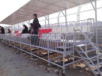 綠蛙菊花扣式可拆卸拼裝看臺