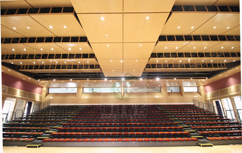 樂灣國際學校電動軟包椅伸縮看臺