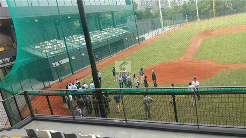 綠蛙看臺積極配合華南大區深圳棒球館項目