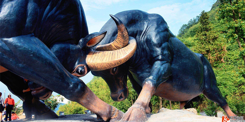 云臺山斗牛場，綠蛙看臺帶您引爆腎上腺，現(xiàn)場感受力的較量！