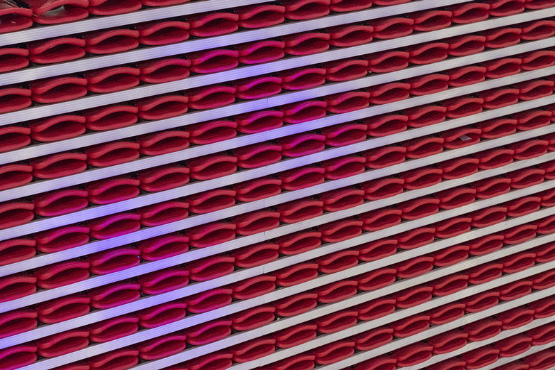 湛江北師大附屬學校體育館看臺