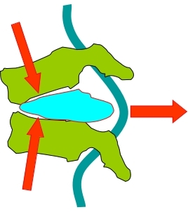 坐姿分析和看臺座椅設計的知識